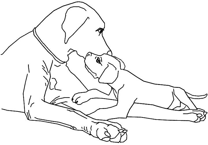 720x502 Family Dog Coloring Page Dog Family Dogs