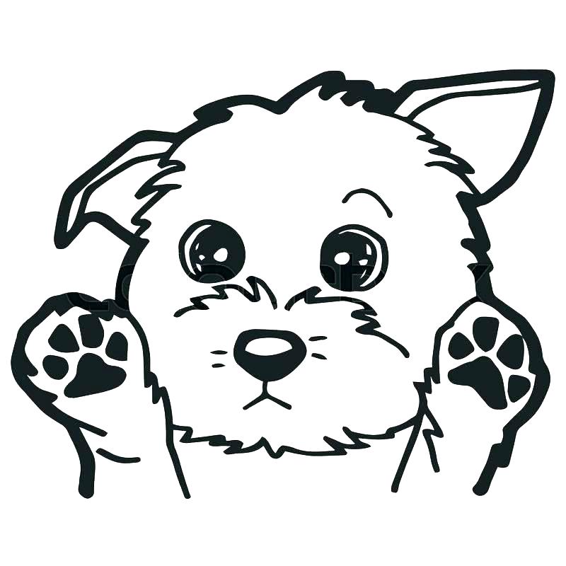 800x800 Coloring Page Of Dog Dog Coloring Page Coloring Pages Dog Man