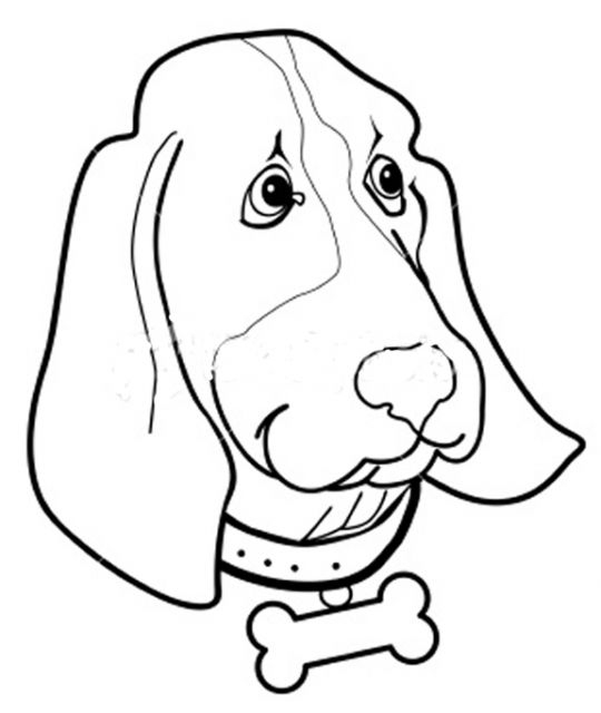 540x640 Coloring Pages Of Dog Head Outer Banks Kids Club Coloring Pages