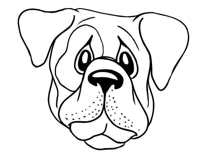 791x588 Dog Face Coloring Page