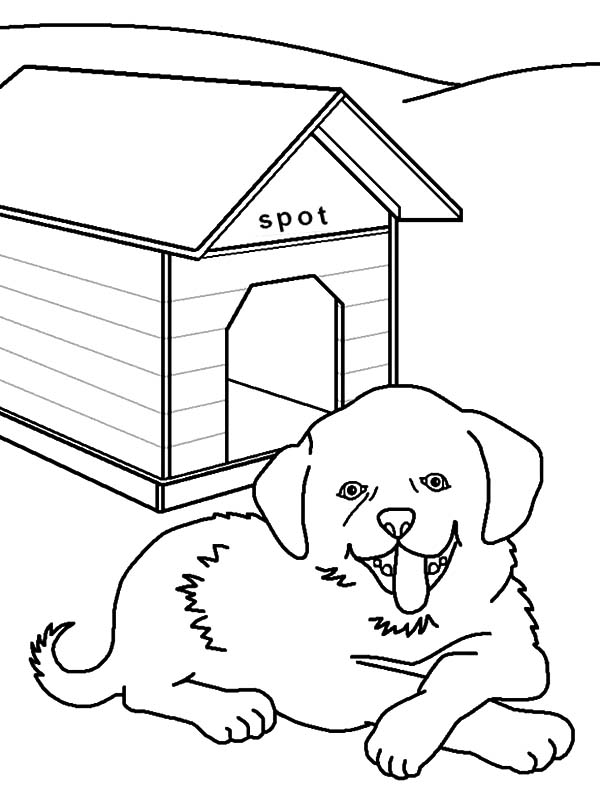 600x796 Dog Kennel