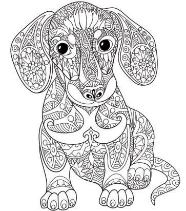 363x411 Dog Mandala Coloring Pages Pin Jill Fosnow On Coloring Pages