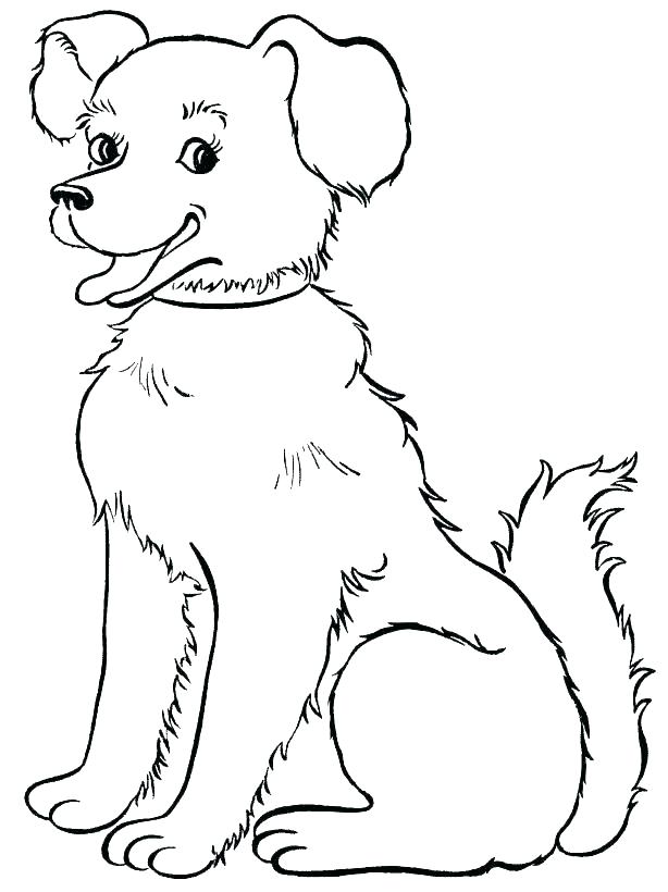 614x820 Rottweiler Coloring Pages Animal Winter Mandala Coloring Page