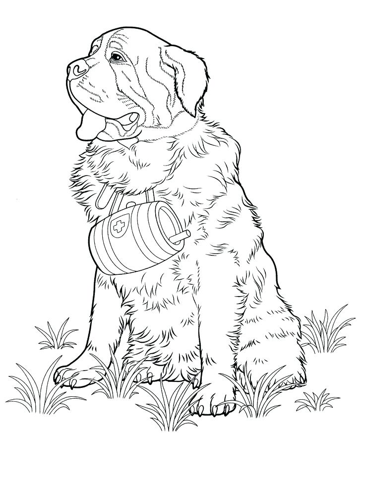 736x1010 Color Pages Of Dogs Free Printable Dog Coloring Pages Dog Coloring