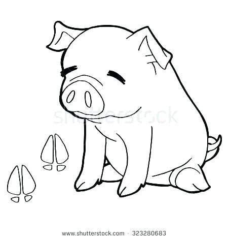 450x470 Stunning Paw Print Coloring Page Animal Print Coloring Pages