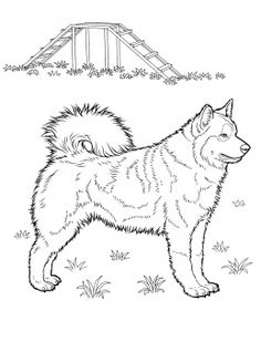 236x318 Dog Sled Coloring Page Sled Dogs, Crayons And Child