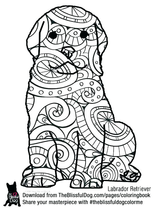 564x729 Dog Tag Coloring Page Dog Tag Coloring Page Fresh Coloring Pages