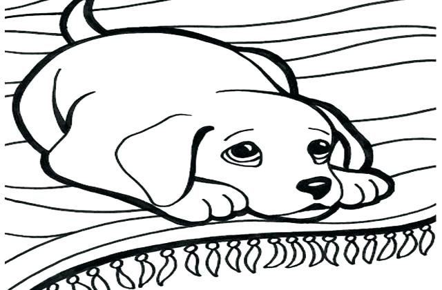 640x420 Dog Tag Coloring Page Military Dog Tag Coloring Pages Ba For Cute