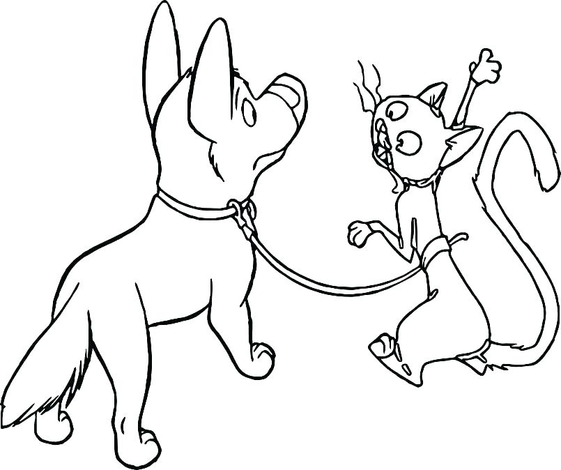 805x674 Coloring Page Of Dog Hunting Coloring Pages Deer Hunting Coloring
