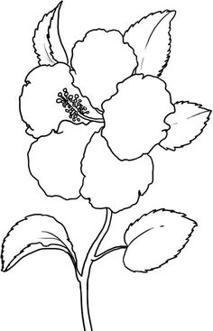 236x367 North Carolina American Dogwood Flower Printable Coloring