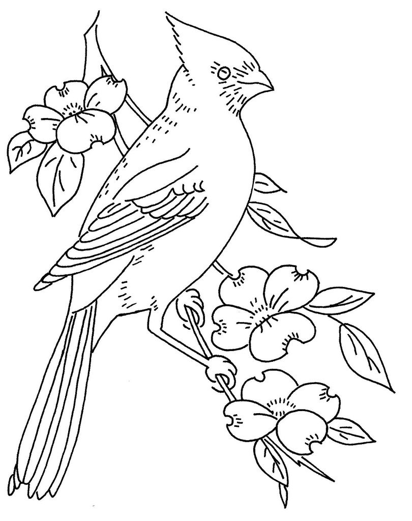 810x1024 Bird And Dogwood Bird, Embroidery And Wood Burning