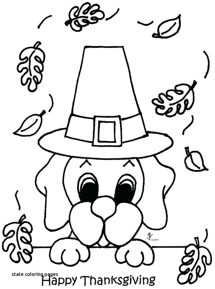 736x992 Best State Symbols Images On Coloring Books Nc State Coloring