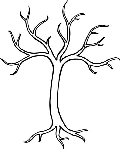 480x595 Dogwood Cliparts