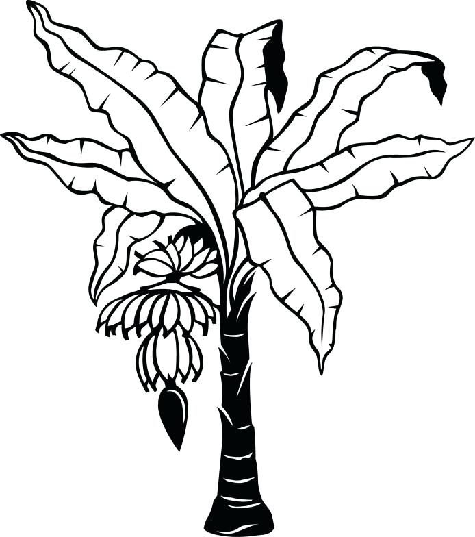 694x784 Free Tree Trunk Outline Download Free Clip Art Free Clip Art