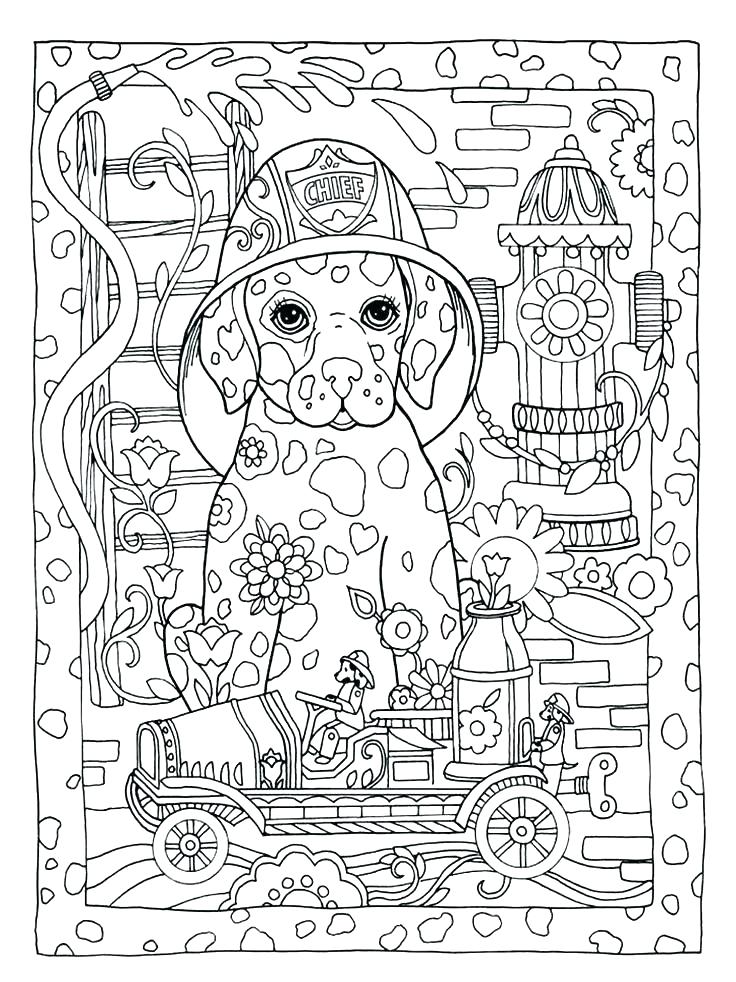 736x982 100 Dollar Bill Coloring Page Dollar Bill Coloring Page Dollar