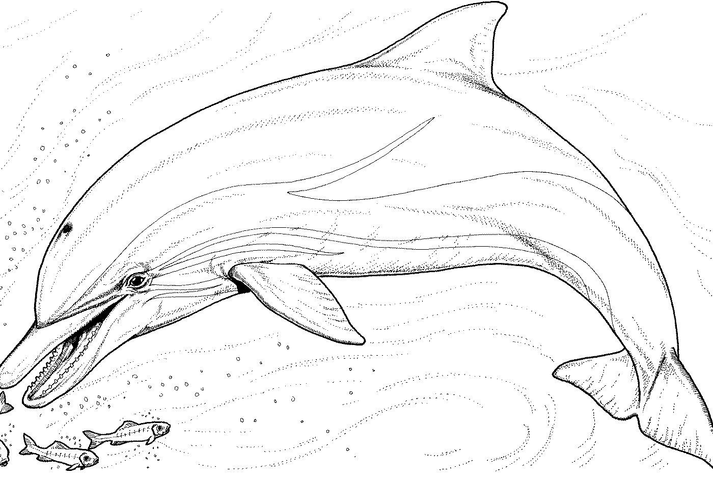 1400x938 Mermaid Coloring Pages For Kids Best Printable Of Mermaids
