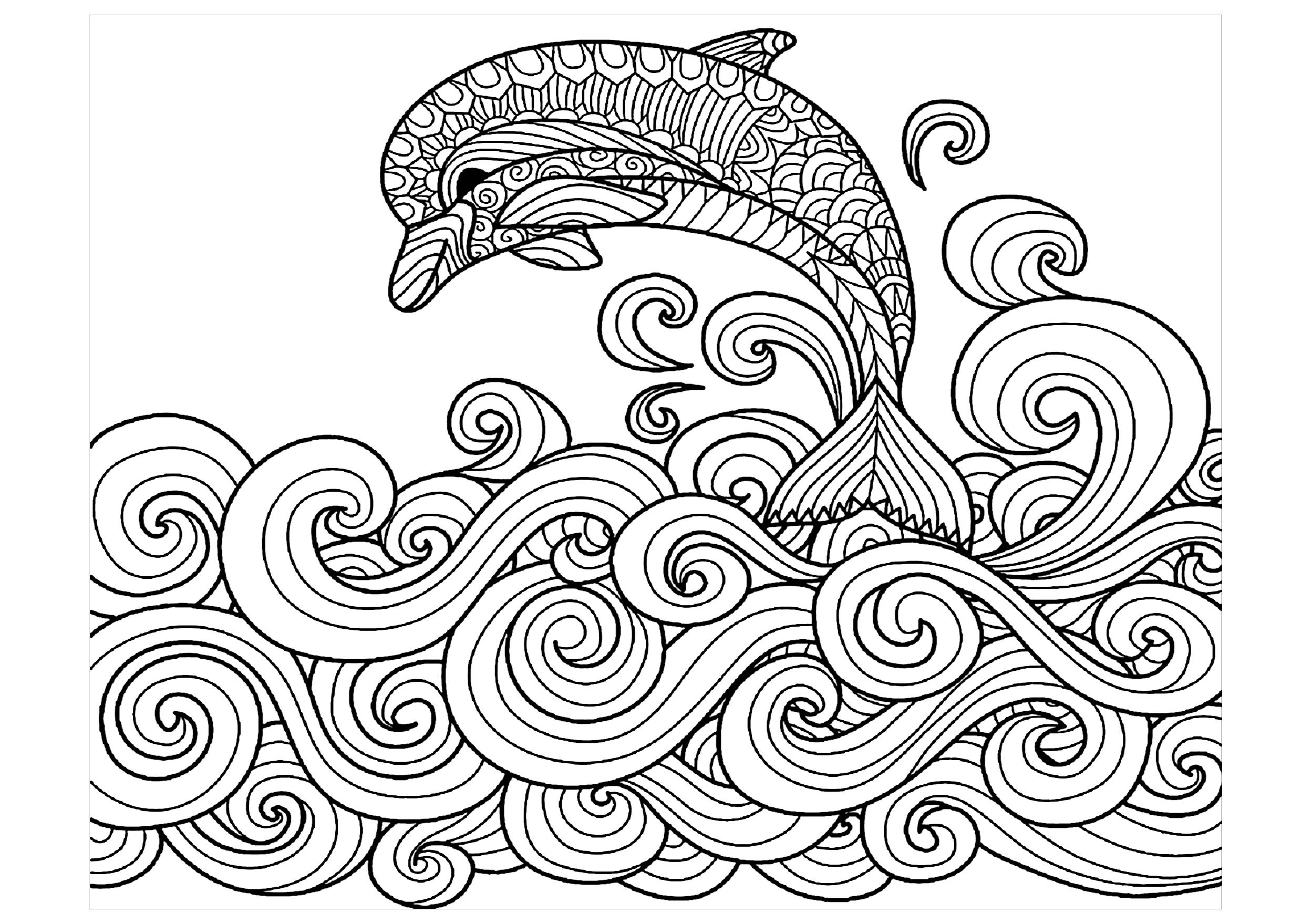 2497x1759 Dolphin Waves