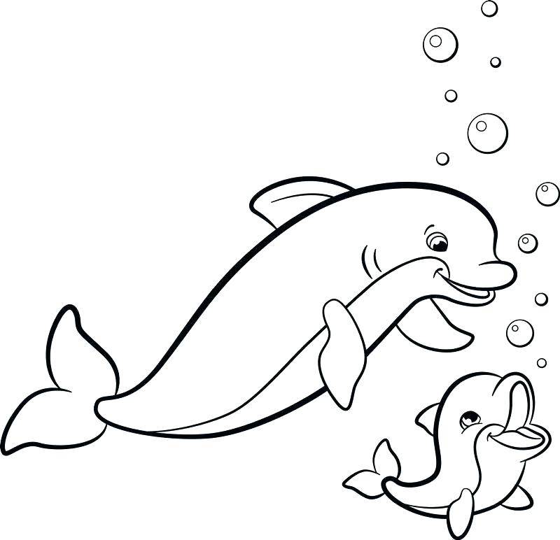 800x772 Dolphin Coloring Pages Dolphin Coloring Pages For Adults
