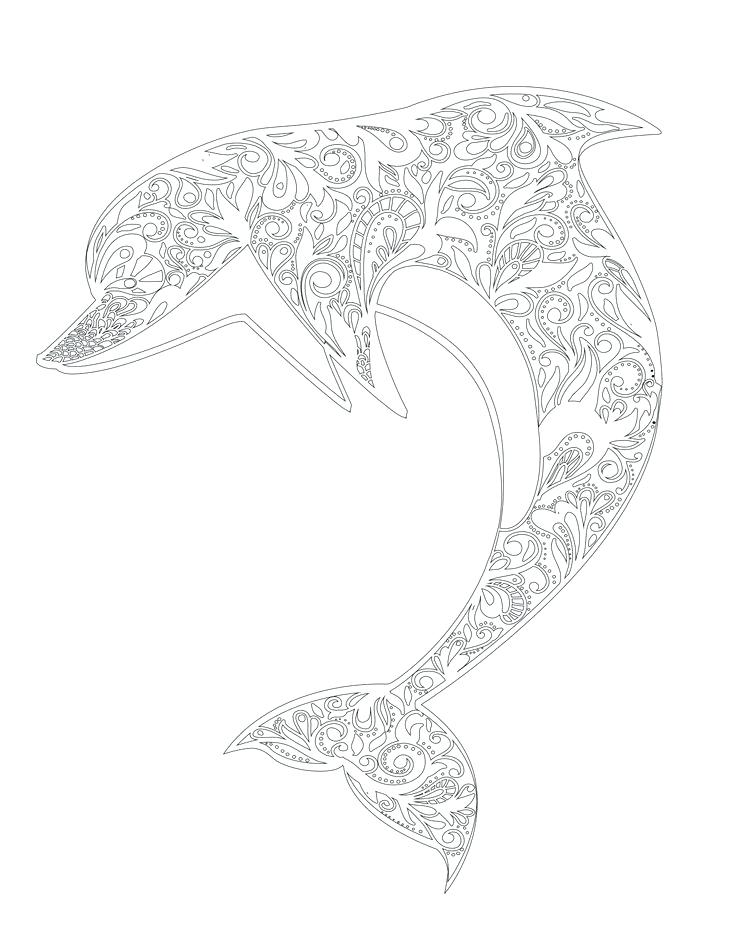 736x952 Printable Dolphin Coloring Pages For Adults Dolphin Coloring Pages