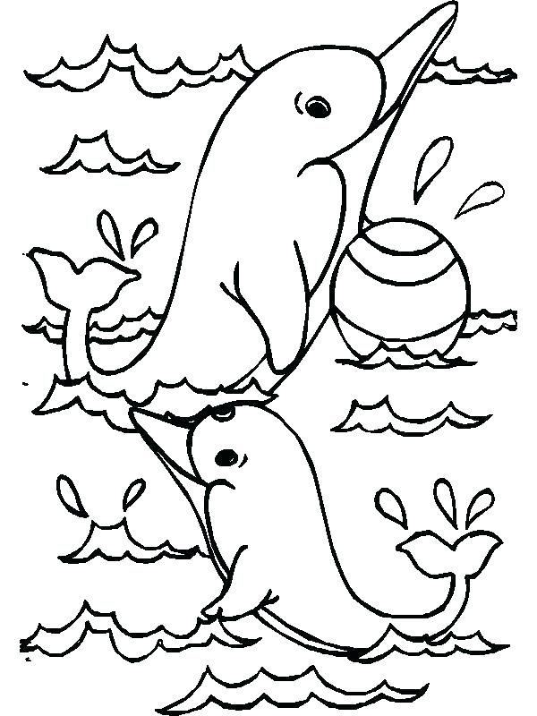 600x800 Dolphin Coloring Pages Printable Dolphin Coloring Pages Printable