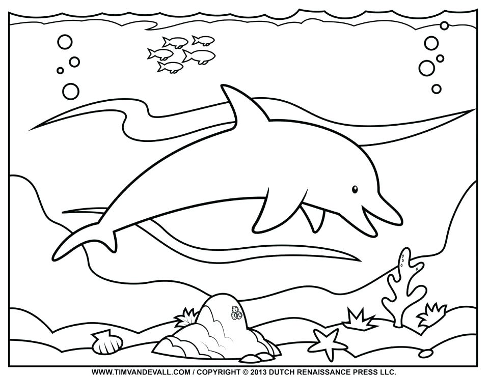 960x741 Dolphins Coloring Pages Free Coloring Pages Online Dolphins
