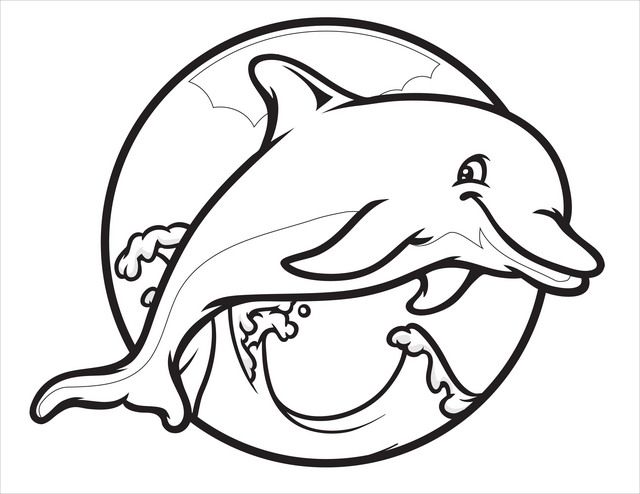 640x494 Printable Dolphin Pictures Dolphin