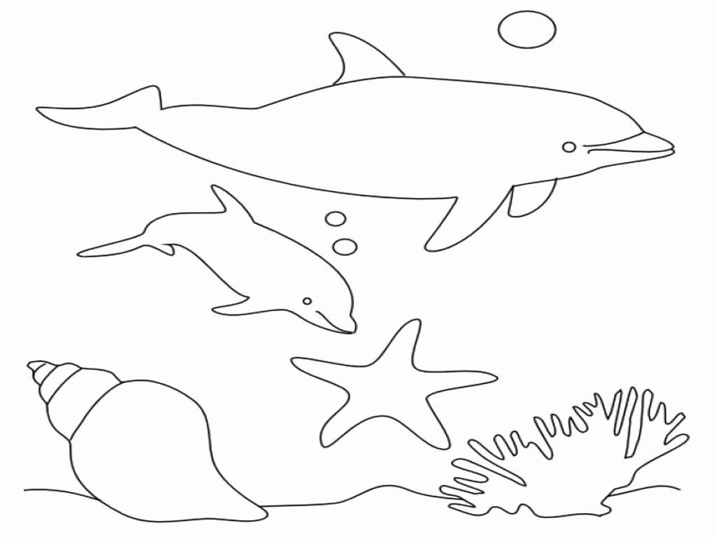 1024x768 Security Pictures Of Dolphins To Print Colossal Dolphin Coloring