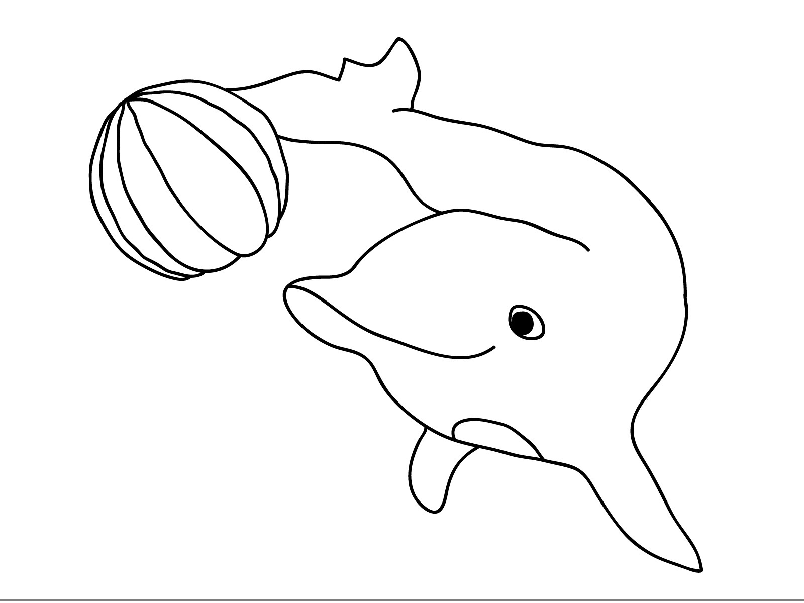 1600x1200 Dolphin Coloring Page Best Of Cute And Baby Dolphin Coloring Pages