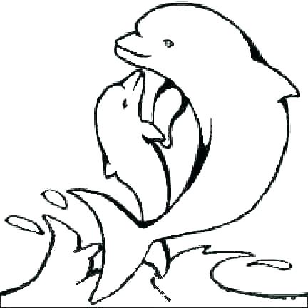 432x432 Dolphin Pictures To Print Also Advice Dolphin Pictures To Print