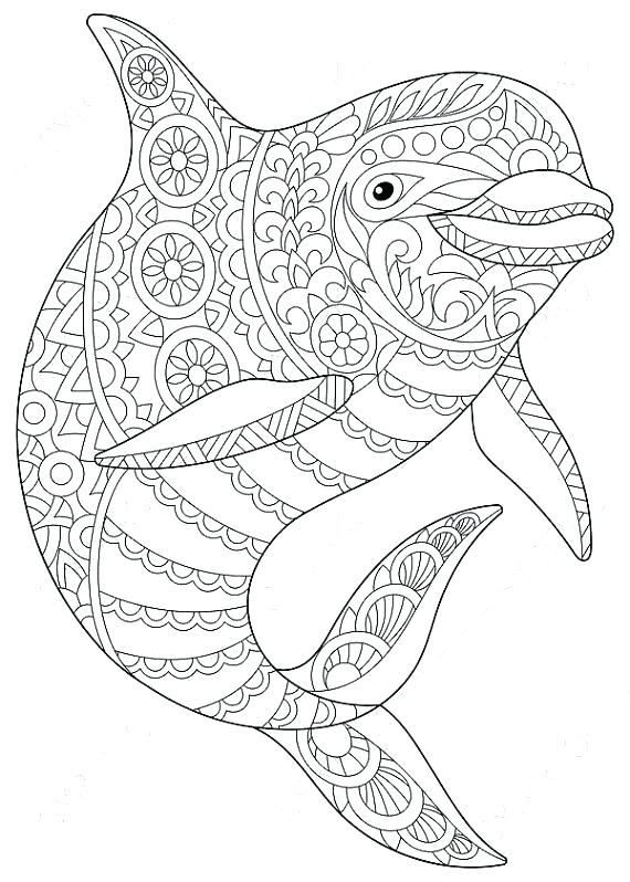 570x798 Dolphins Coloring Pages Coloring Pages Dolphins Dolphin Coloring