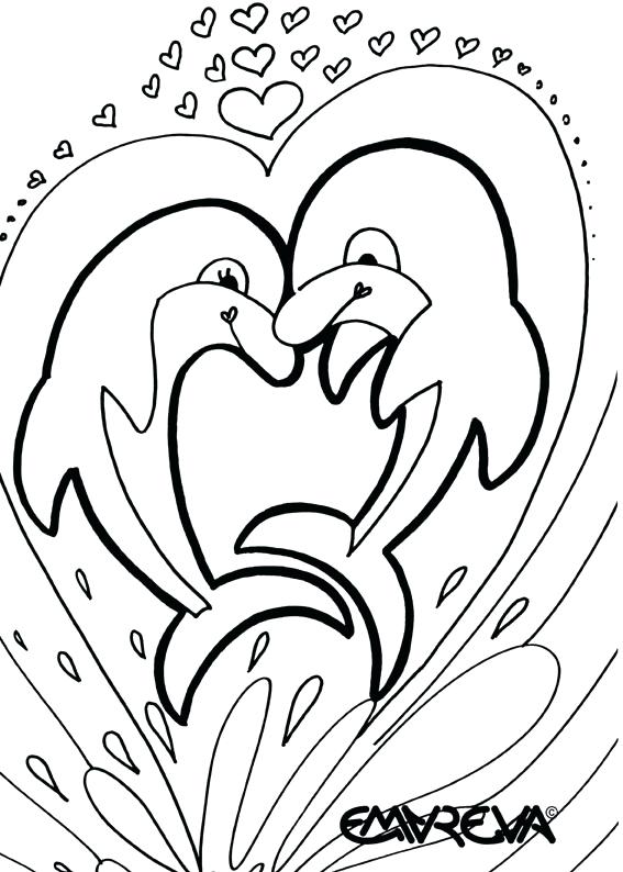 567x794 Coloring Dolphin Coloring Pictures Baby Phin Colouring Pages Free