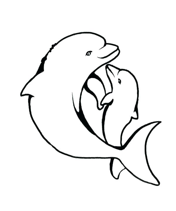 600x716 Dolphin Coloring Pages Printable Vanda