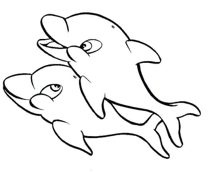 800x661 Dolphin Coloring Pages Print Out Dolphin Coloring Pages