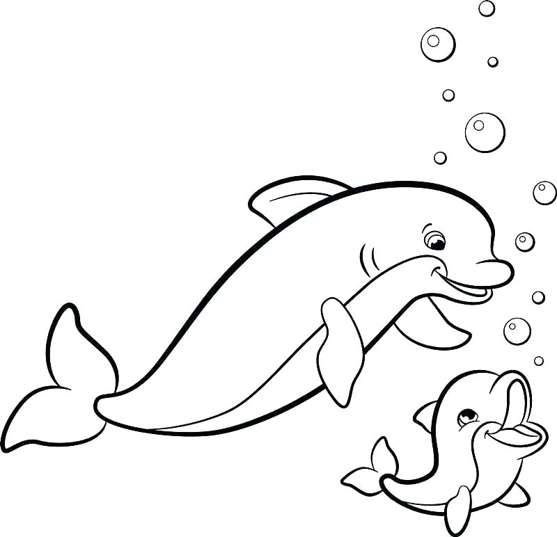 Dolphin Tale Coloring Pages