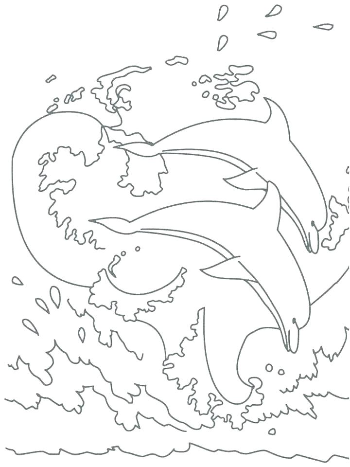720x960 Dolphin Tale Coloring Pages Coloring Pages Dolphin Tale Dolphin