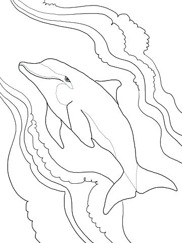 360x480 Dolphin Tale Coloring Pages Dolphin Coloring Book Together