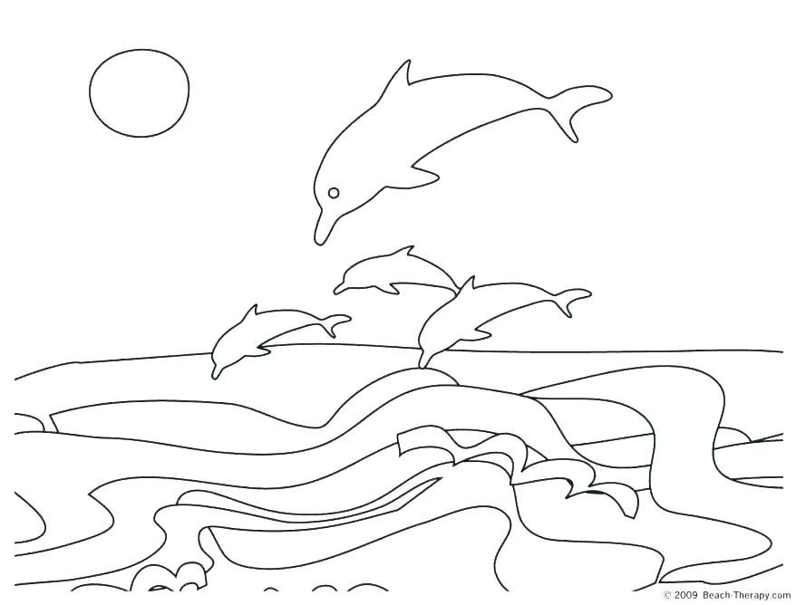 878x668 Dolphin Tale Coloring Pages Dolphin Tale Coloring Pages Dolphin