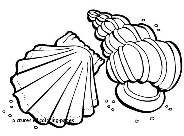 Dolphins Football Coloring Pages