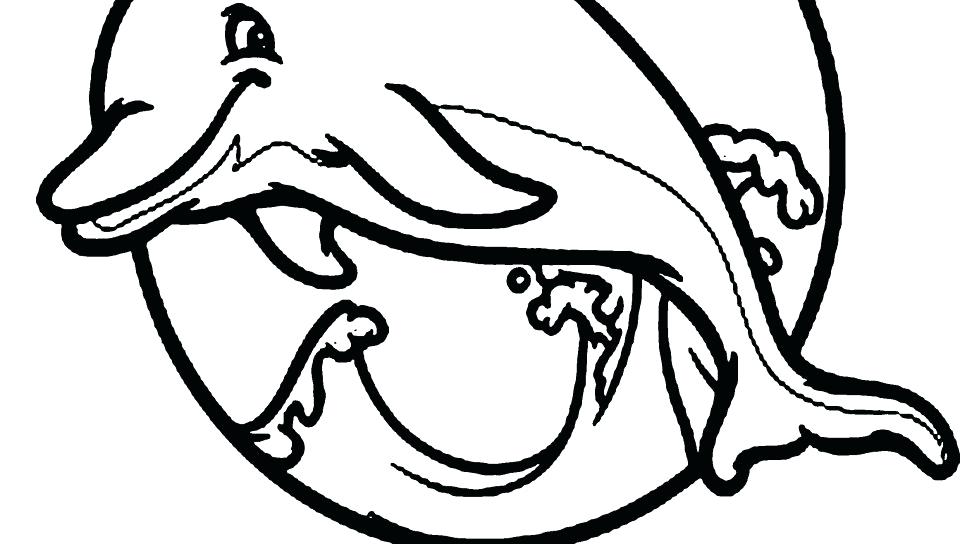 960x544 Dolphins Coloring Pages Baby Dolphin Coloring Pages Stock Free