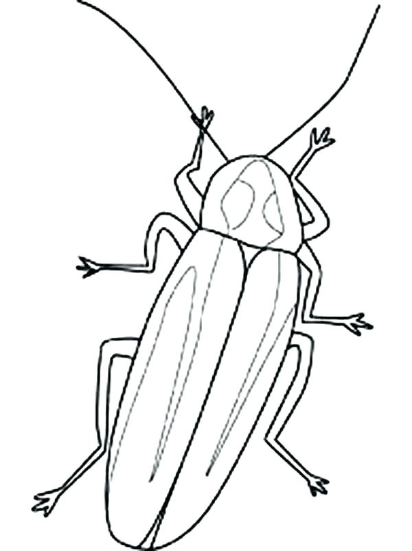 600x801 Firefly Coloring Page Domo Coloring Pages Colouring For Sweet Draw
