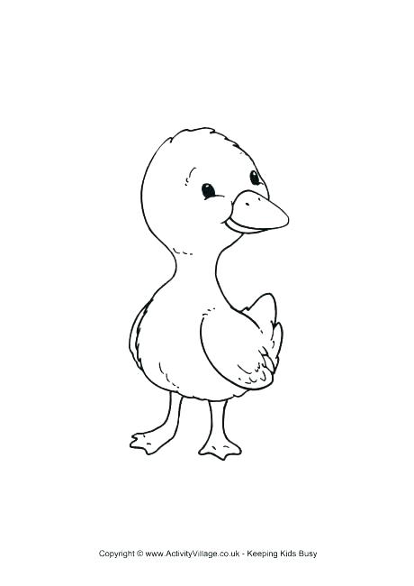 460x650 Donald Duck Colouring Pages Baby Duck Coloring Page Cute Duck