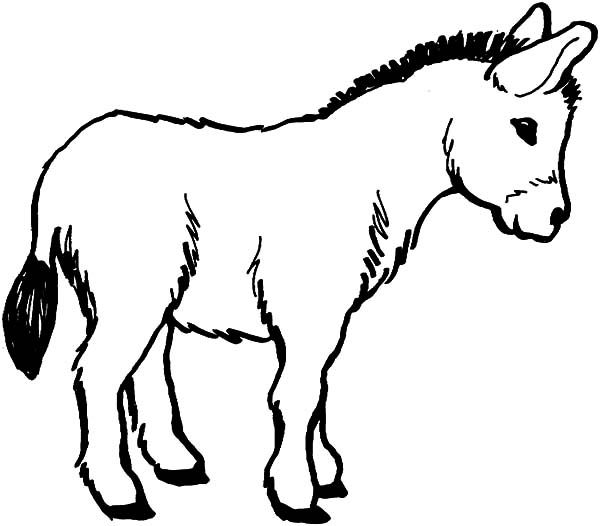 Donkey Coloring Page