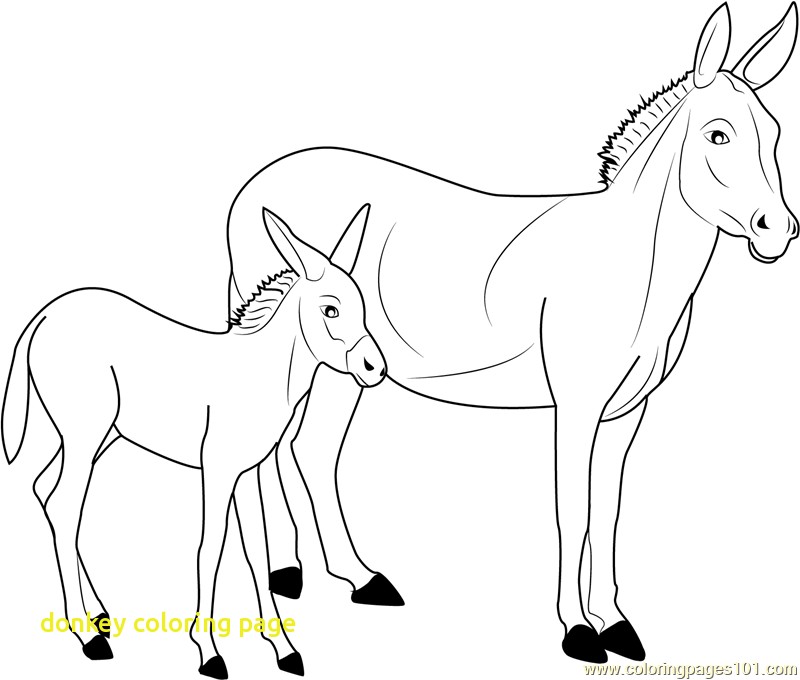 800x680 Donkey Coloring Page With Donkey Coloring Page Free Donkey