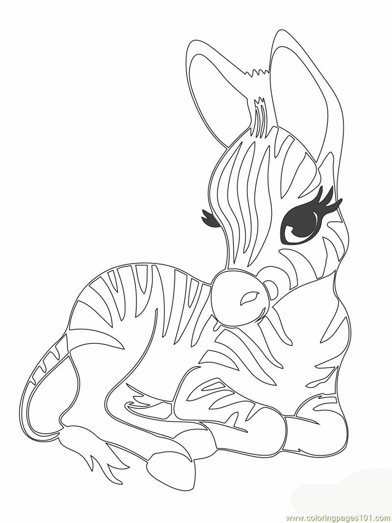 800x1066 Cool Idea Cute Animal Coloring Pages Cartoon On Pictures Of Baby