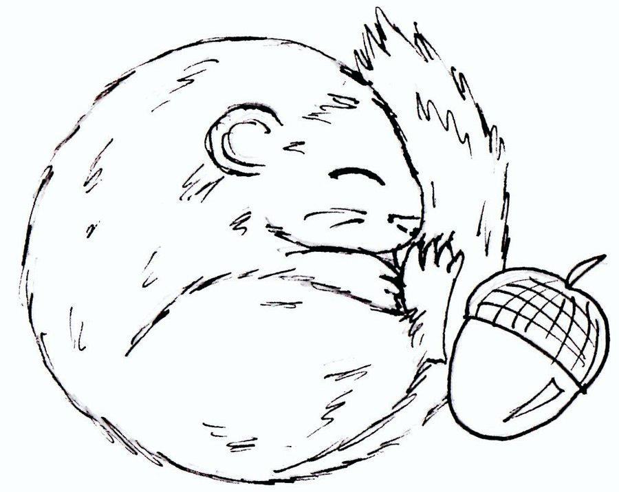 900x715 Dormouse Animal Coloring Pages Sleeping Dormouse By Color Ideas