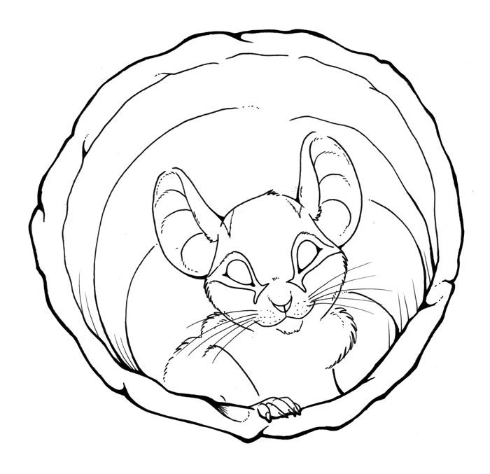 700x677 Lineart Edible Dormouse By Sethaa On Coloring Pages