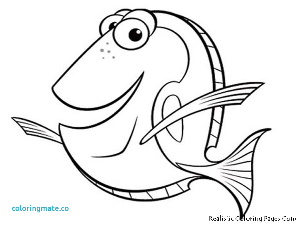 1024x768 Dory Coloring Pages Dory Coloring Pages Unique Cartoon Fish Free