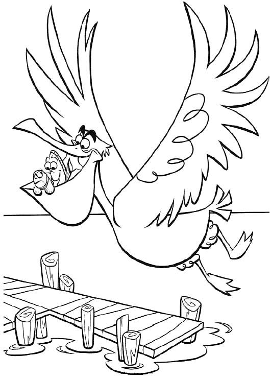 531x742 Disney. Dory And Marlin With Bird Coloring Pages