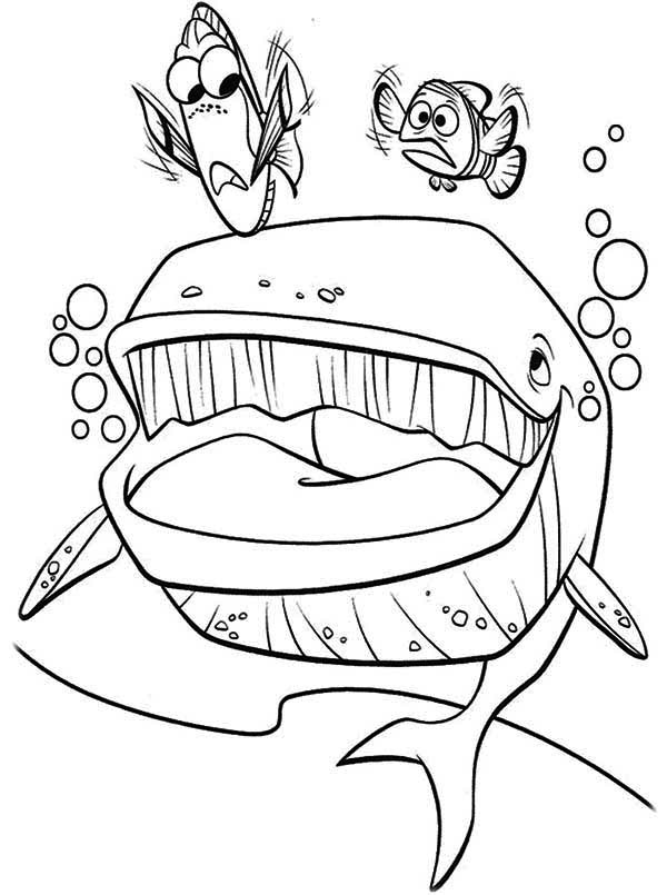 600x805 Bruce From Nemo Coloring Pages Finding Page