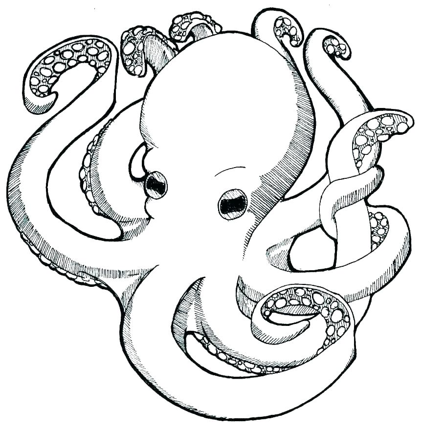 863x880 Free Dot Marker Coloring Pages Dot To Alphabet Coloring Pages